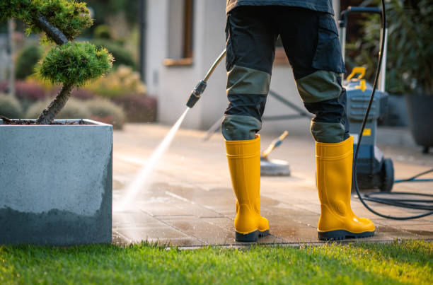 Best Roof Pressure Washing  in Hilltop, MN
